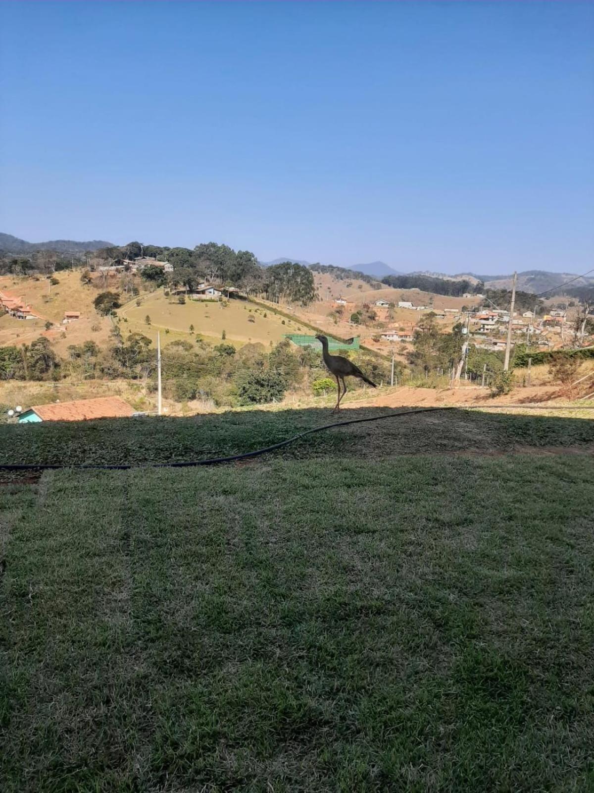 Recanto Alvorada - Casa De Campo Санту-Антониу-ду-Пиньял Экстерьер фото